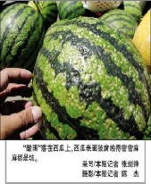 酸雨对西瓜